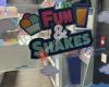 Fun and Shakes