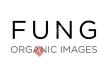Fungke Images