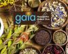 Gaia Naturopathic Health Care