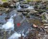 Gaspereau River Trail