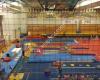 Giant Gymnastics