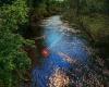 Glacial Drumlin Trail