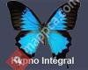 Hypno Integral