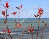 Indiana Dunes Visitor Center