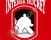 Intense Hockey Rive-Nord Inc