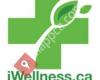 iWellness.ca Rehab & Wellness Clinic: Dr. John Balkansky