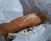 Jersey Mike's Subs