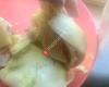 Jimmy John's