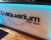 L'aquarium Fish Spa