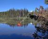 Lake of the Woods Rec Area