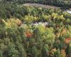 Lake Temagami Fire Tower