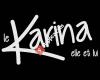 Le Karina Coiffure