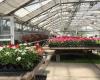 Liberty Park Florist & Greenhouses