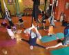 Limber Tree Yoga Studio