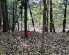 Little Tract Hiking Trail