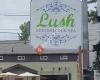 Lush Eco-Salon