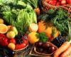 Maine Organic Foods | Organic Food Catering | Organic 