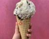 Marble Slab Creamery