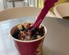 Menchie's Frozen Yogurt