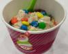 Menchie's Frozen Yogurt