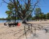 Mooney's Bay Beach Parking Lot