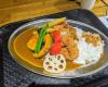 Mr Japanese Curry