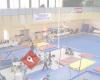 Muskoka Limberettes Gymnastics Club