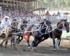 North Thompson Fall Fair Rodeo & Agriplex