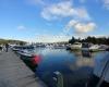 Northwest Basin Marina