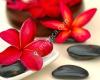 Oliwei Spa - Massage, Facials, and Body Treatment