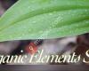 Organic Elements Spa