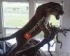 Pampered Pets