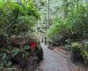 Parking - Tonquin Beach