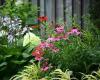 Pathways To Perennials