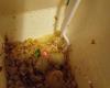 Peking Chinese Restaurant