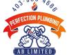 Perfection Plumbing AB