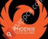 Phoenix Auto Clinic