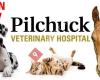 Pilchuck Veterinary Hospital