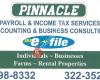 Pinnacle Consulting & Tax Services