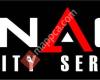 Pinnacle Security Services
