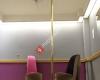 Pole Grrls Dance Fitness
