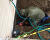 Pristine Plumbing & Drainage