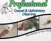 Professional Carpet & Upholstery Cleaning