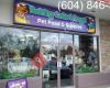 Raining Cats & Dogs Pet Food & Supplies