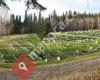 Red Deer Cemetery