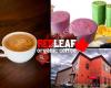 Red Leaf Organic Coffee