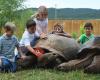 Reptile Gardens