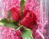 Rose Bowl Floral & Gifts