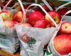 Sage's Apples Fruit & Vegetable Farm Market
