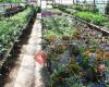 Santamary Florist And Greenhouses